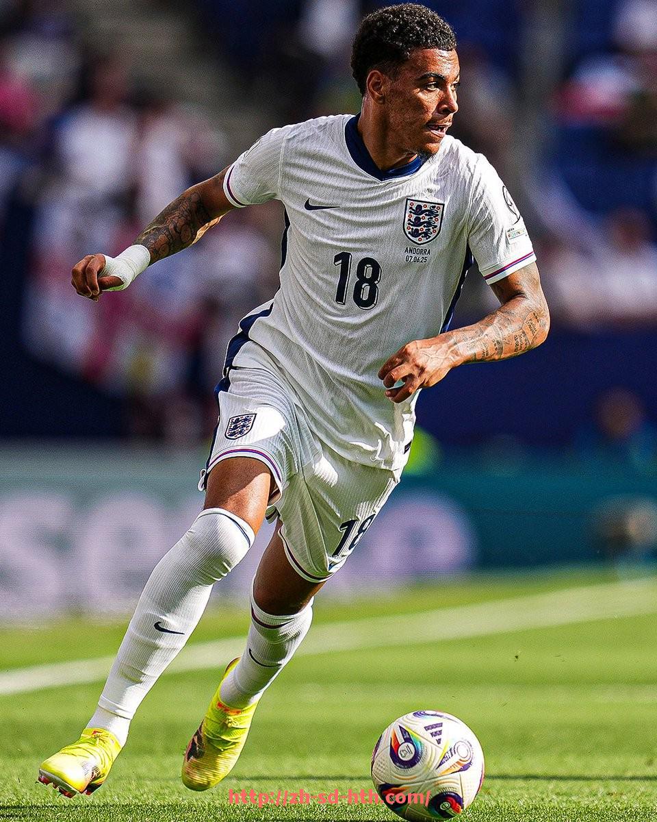 华体会hth登录入口-2018赛季中超联赛外援名单及外援表现分析